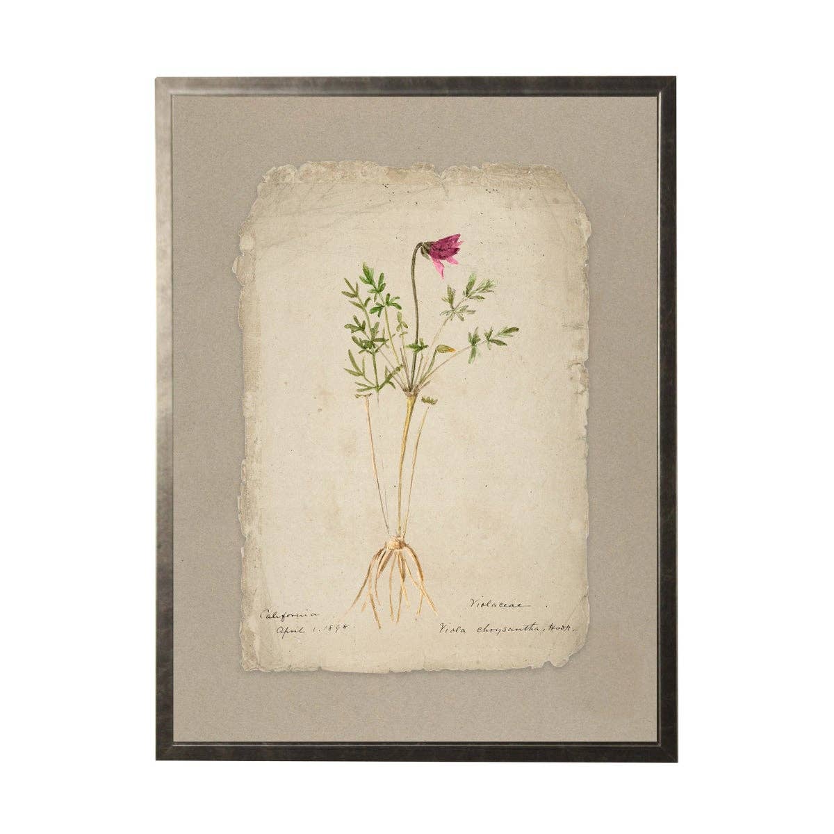 Vintage Flower Painting On Torn Paper Background: 24" X 18" / Gold Frame 2425-35 Aq
