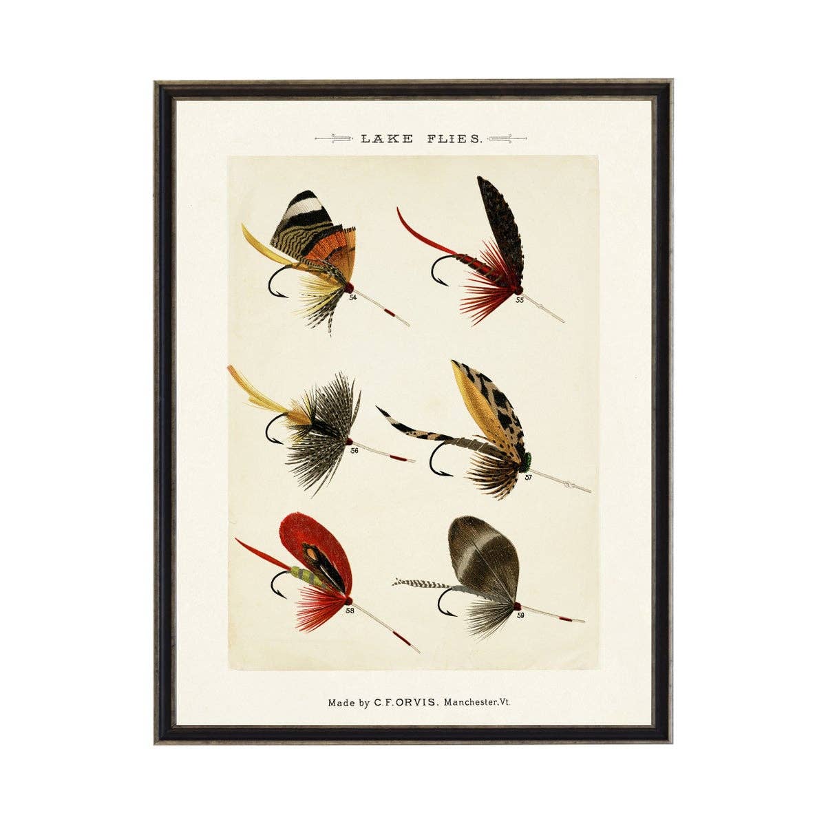 Lake Fishing Flies Bookplate