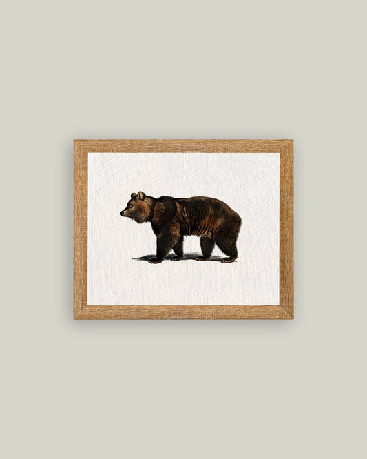 Bear Framed Antique Art