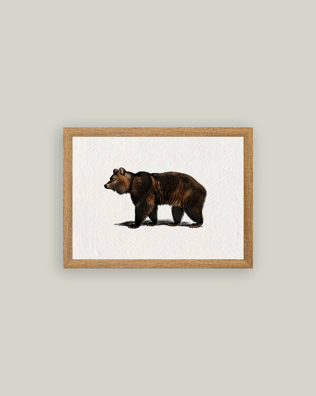 Bear Framed Antique Art