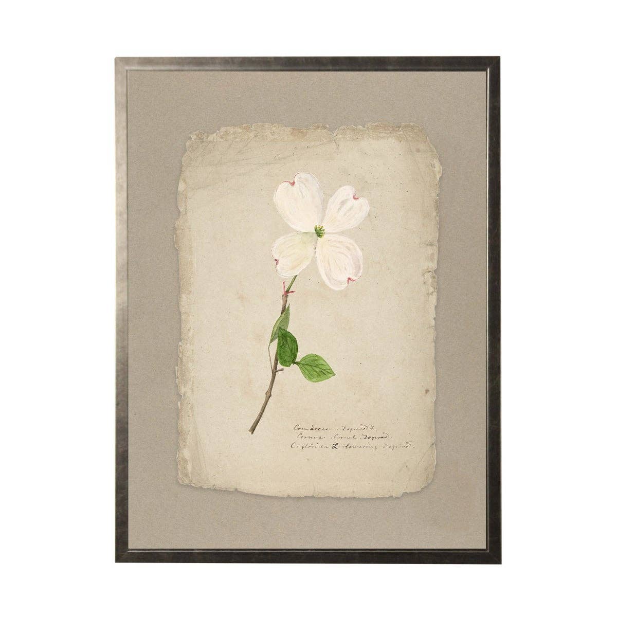 Vintage Flower Painting On Torn Paper Background: 24" X 18" / Gold Frame 2425-35 Aq
