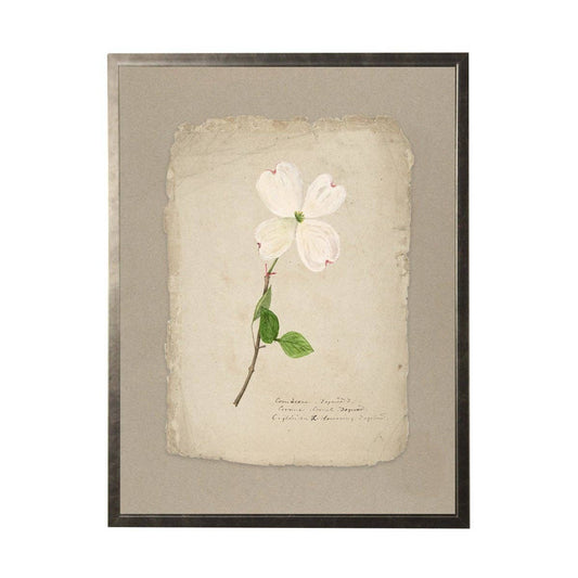 Vintage Flower Painting On Torn Paper Background: 24" X 18" / Gold Frame 2425-35 Aq