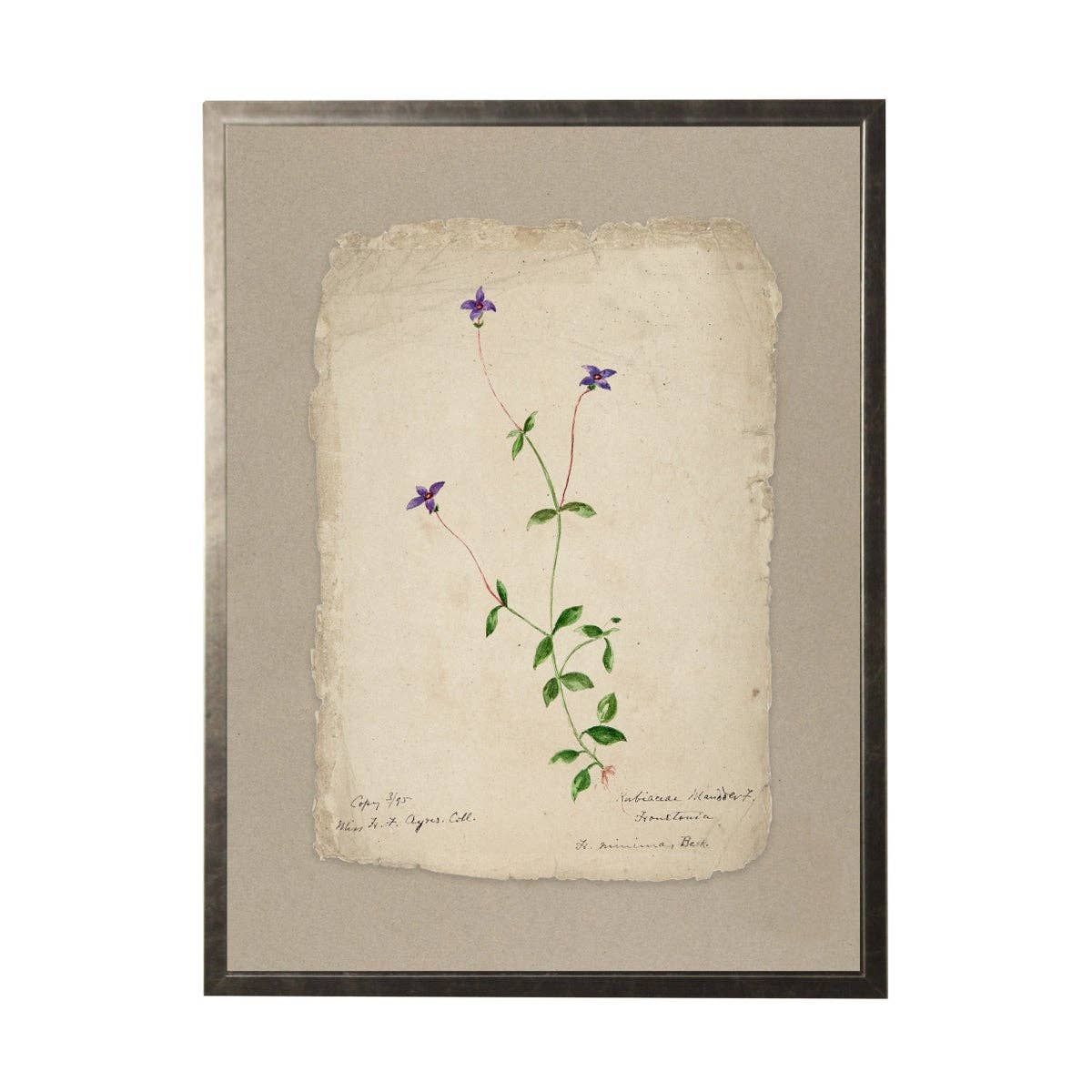 Vintage Flower Painting On Torn Paper Background: 24" X 18" / Gold Frame 2425-35 Aq