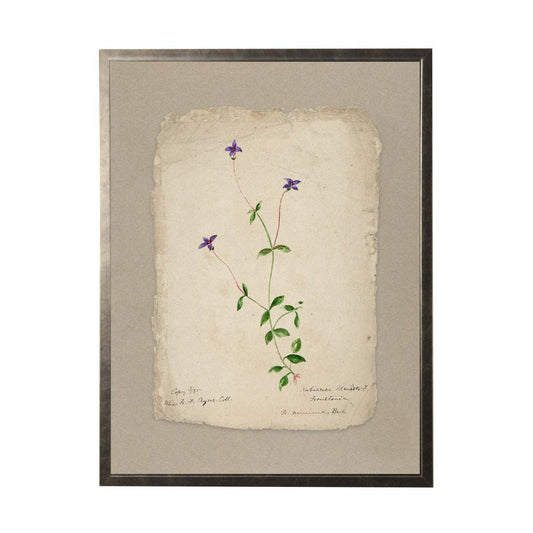 Vintage Flower Painting On Torn Paper Background: 24" X 18" / Gold Frame 2425-35 Aq
