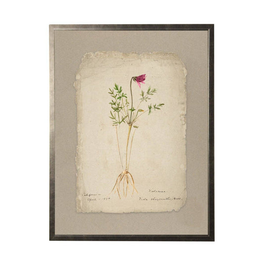 Vintage Flower Painting On Torn Paper Background: 24" X 18" / Gold Frame 2425-35 Aq