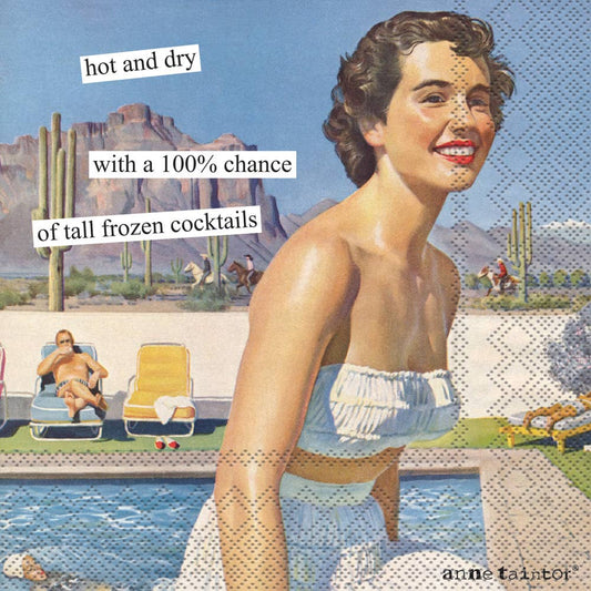 Paper Cocktail Napkins Pack of 20 Anne Taintor Hot and Dry