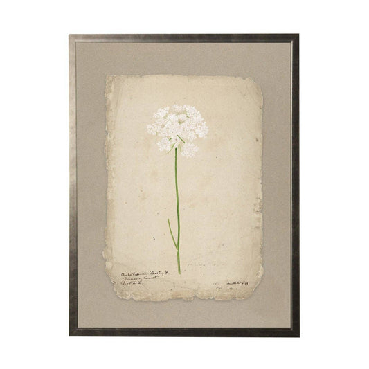 Vintage Flower Painting On Torn Paper Background: 24" X 18" / Gold Frame 2425-35 Aq