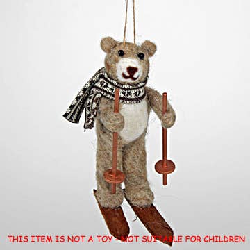 SKIING BEAR